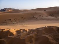 Sahara Desert: Sand Dunes, Vast Landscape, and the Beauty of Dawn