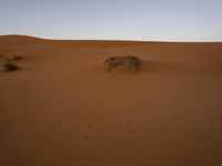 Sahara Desert Sand Dunes - Natural Beauty 001