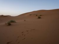 Sahara Desert Sand Dunes: Natural Beauty