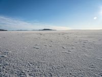 the sun shining over an expanse of frozen water with tracks left in the snow and a distant mountain in the distance