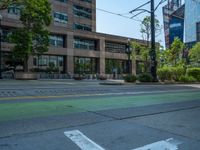 the green paint is painted on a bike path in front of an office building and large, trees