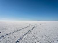 two pairs of skis are riding through a snowy field in the desert and under a blue sky