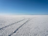 two pairs of skis are riding through a snowy field in the desert and under a blue sky