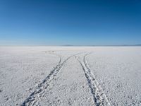 two pairs of skis are riding through a snowy field in the desert and under a blue sky