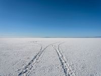 two pairs of skis are riding through a snowy field in the desert and under a blue sky