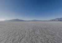 an image of a desert landscape taken from the ground with a lens up to the mountains