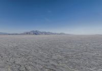 an image of a desert landscape taken from the ground with a lens up to the mountains