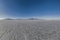 an image of a desert landscape taken from the ground with a lens up to the mountains