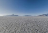 an image of a desert landscape taken from the ground with a lens up to the mountains