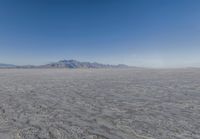 an image of a desert landscape taken from the ground with a lens up to the mountains