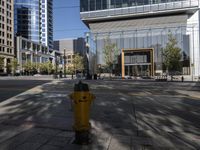 yellow fire hydrant on the street near a building with a glass front and walkway