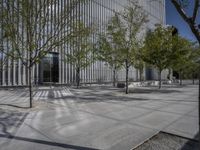 concrete street and trees in front of office building near the sidewalk in daytime sunlight in a city