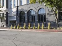 a fire hydrant and bench line in front of some buildings and trees outside a large gray building