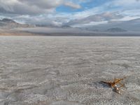 Salt Lake City, Utah Landscape: Day with Clouds