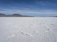 Winter Scene in Salt Lake City