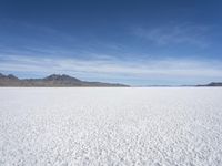 Winter Scene in Salt Lake City