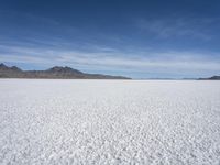 Winter Scene in Salt Lake City