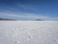 Winter Scene in Salt Lake City