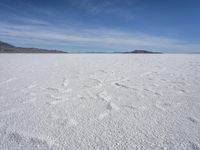 Winter Scene in Salt Lake City