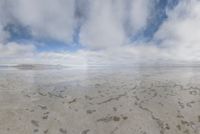 Salt Lake Desert Mountain View