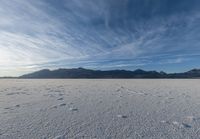 Salt Lake Landscape: An Oasis in the Desert Mountains