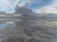 Salt Lake Landscape: Foggy Mirror Reflections