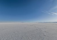 Salt Lake, USA: Clear Sky Landscape