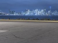 the fire hydrant in front of a city skyline is seen at night, during twilight