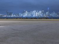 the fire hydrant in front of a city skyline is seen at night, during twilight