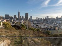 a view of the city from a hill with a fence in the foreground and the skyline