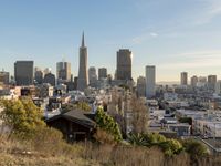 a view of the city from a hill with a fence in the foreground and the skyline