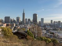 a view of the city from a hill with a fence in the foreground and the skyline