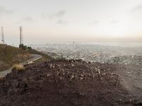 San Francisco Dawn: Overlooking the Cityscape