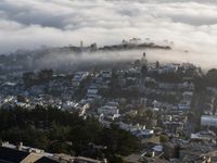 San Francisco: Daytime City View