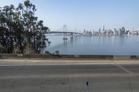 the city is in the distance by the water and on the shore, along with a bridge