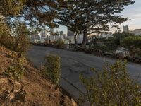 a view of the city from a hillside with a street sign in front of it