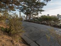a view of the city from a hillside with a street sign in front of it