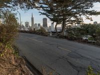 a view of the city from a hillside with a street sign in front of it