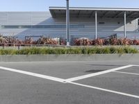 a parking lot with several empty cars in it and plants outside of the building on each side