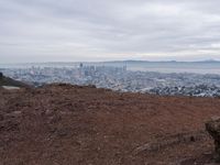 San Francisco's Skyline: A Breathtaking Dawn View