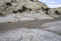 rocks near water and trees on a rocky area in the middle of nowhere and dirt,