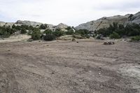 dirt ground and some trees and bushes on the hill side or hillside side, with no vegetation