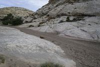 several animals walking down a dirt road in a rocky area near the mountain side on a cloudy day