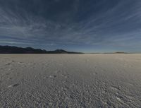 this is an image of a desert, with many tracks in the snow that lead to a huge mountain