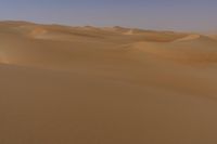 Sand Dune Landscape in the Liwa Desert, UAE