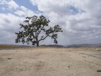 Sand Dunes in California: Bathed in Daylight