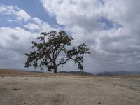 Sand Dunes in California: Bathed in Daylight