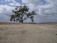 Sand Dunes in California: Bathed in Daylight