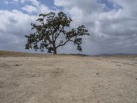 Sand Dunes in California: Bathed in Daylight