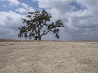 Sand Dunes in California: Bathed in Daylight